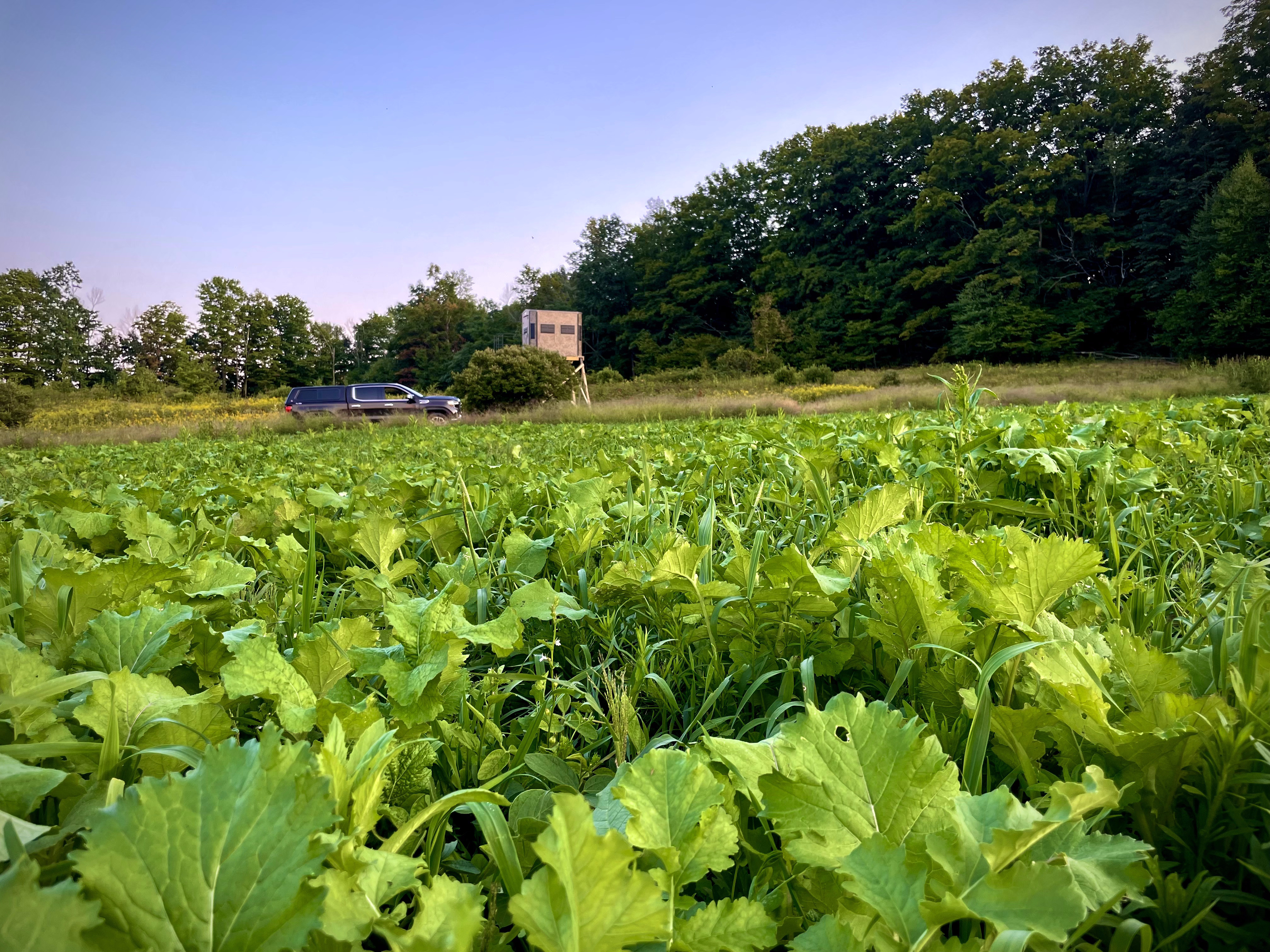 Shadow Hunter Installs